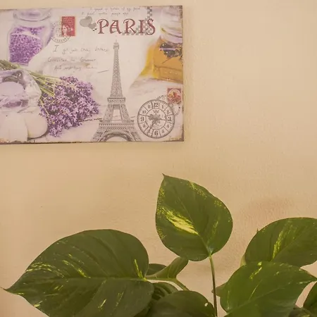 Apartment Camellia